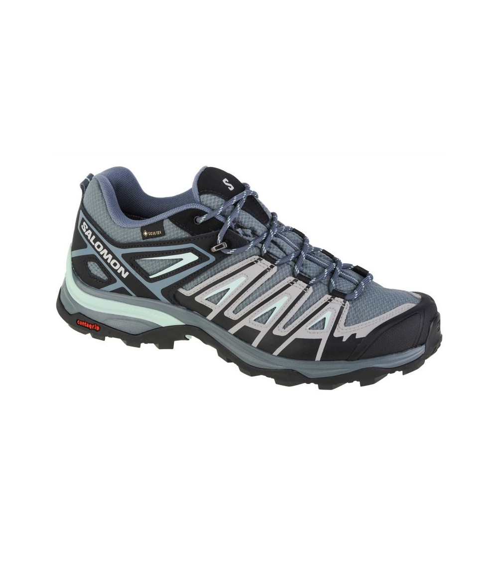 Shoes Salomon X Ultra Pioneer Gtx W 471702