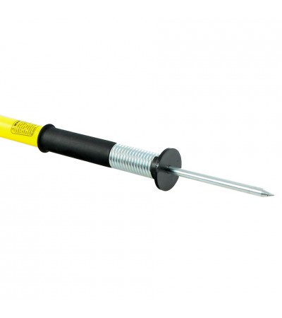 CHORĄGIEWKA BOISKOWA SELECT 4szt  11869