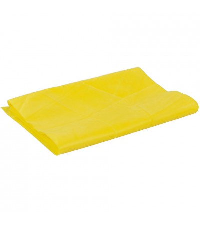 Guma Fitness Profit Long Light 200x15x0,35cm żółta DK 2227