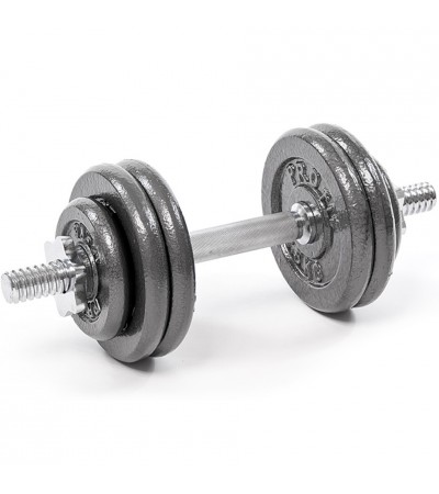 Hantel żeliwny Profit 15 kg DK 4126