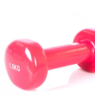 Hantle winylowe Profit różowe 2x1,5 kg DK 4102
