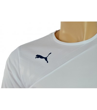 KOSZULKA PUMA IT EVO SPEED GRAPHIC TEE /654008 06