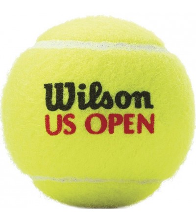 Piłki do tenisa ziemnego Wilson Us Open 4szt WRT116200