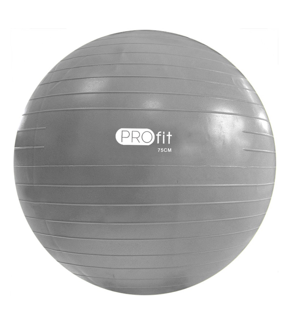 Piłka gimnastyczna Profit 75 cm srebrna pompką DK 2102