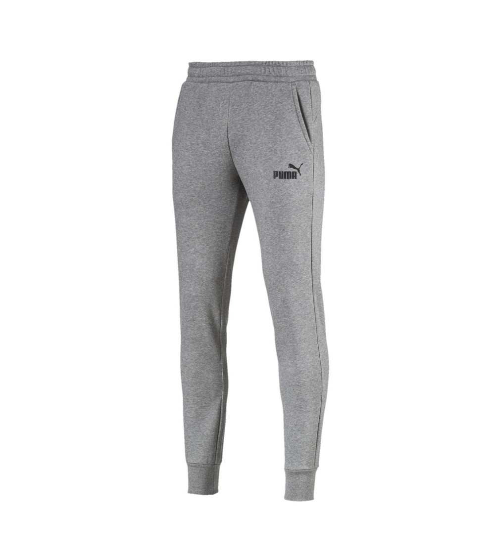 Spodnie męskie Puma ESS Logo FL CL szare 851753 03