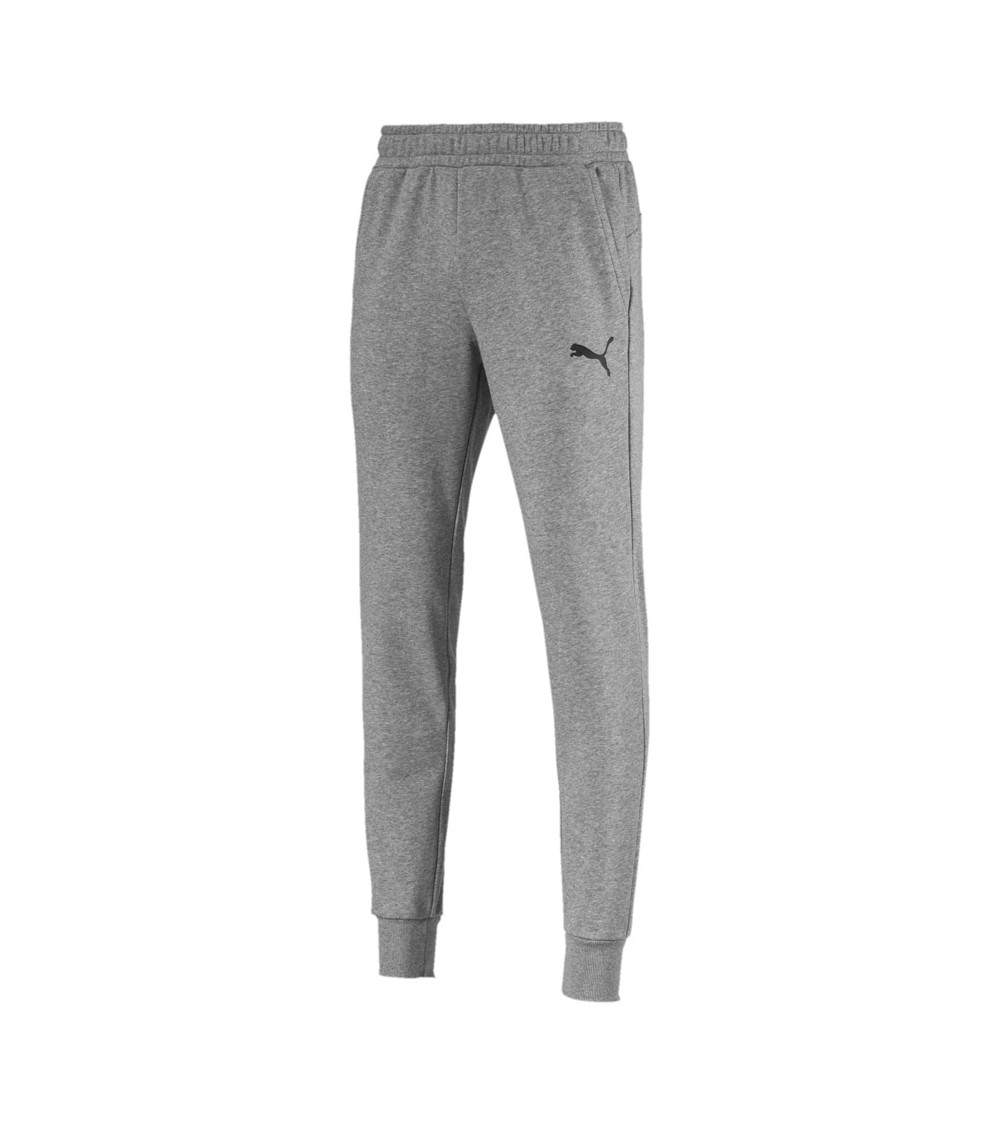Spodnie męskie Puma ESS Logo TR CL szare 851754 23