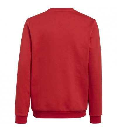 Bluza dla dzieci adidas Entrada 22 Sweat Top czerwona H57473