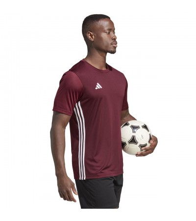 Koszulka męska adidas Tabela 23 Jersey bordowa IB4928