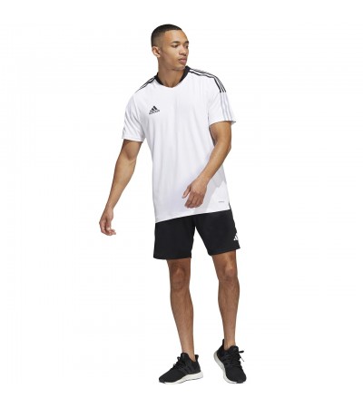 Spodenki męskie adidas Tiro 23 Competition Training czarne HL3923