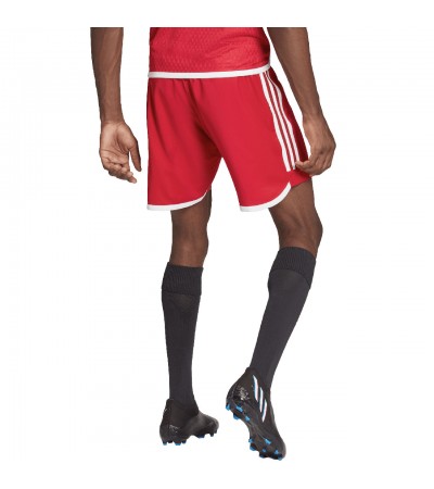 Spodenki męskie adidas Tiro 23 Competition Match czerwone HL4790