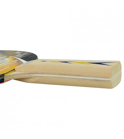 Rakietka do ping ponga Donic Appelgren 300 703003