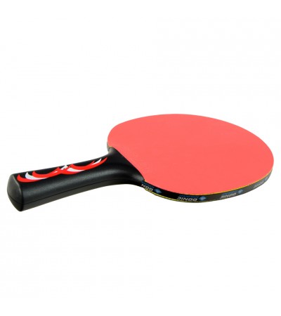 Rakietka do ping ponga Donic Champs Line Level 300 705131