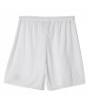 Adidas Parma 16 M AC5254 futbolo šortai, Futbolas, Spоrto prekės, Adidas