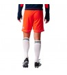 Adidas Squadra 17 M BJ9229 futbolo šortai, Futbolas, Spоrto prekės, Adidas