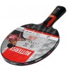 Butterfly Zhang Jike stalo teniso lazda S462939, Rakečių sportas, Spоrto prekės, Butterfly