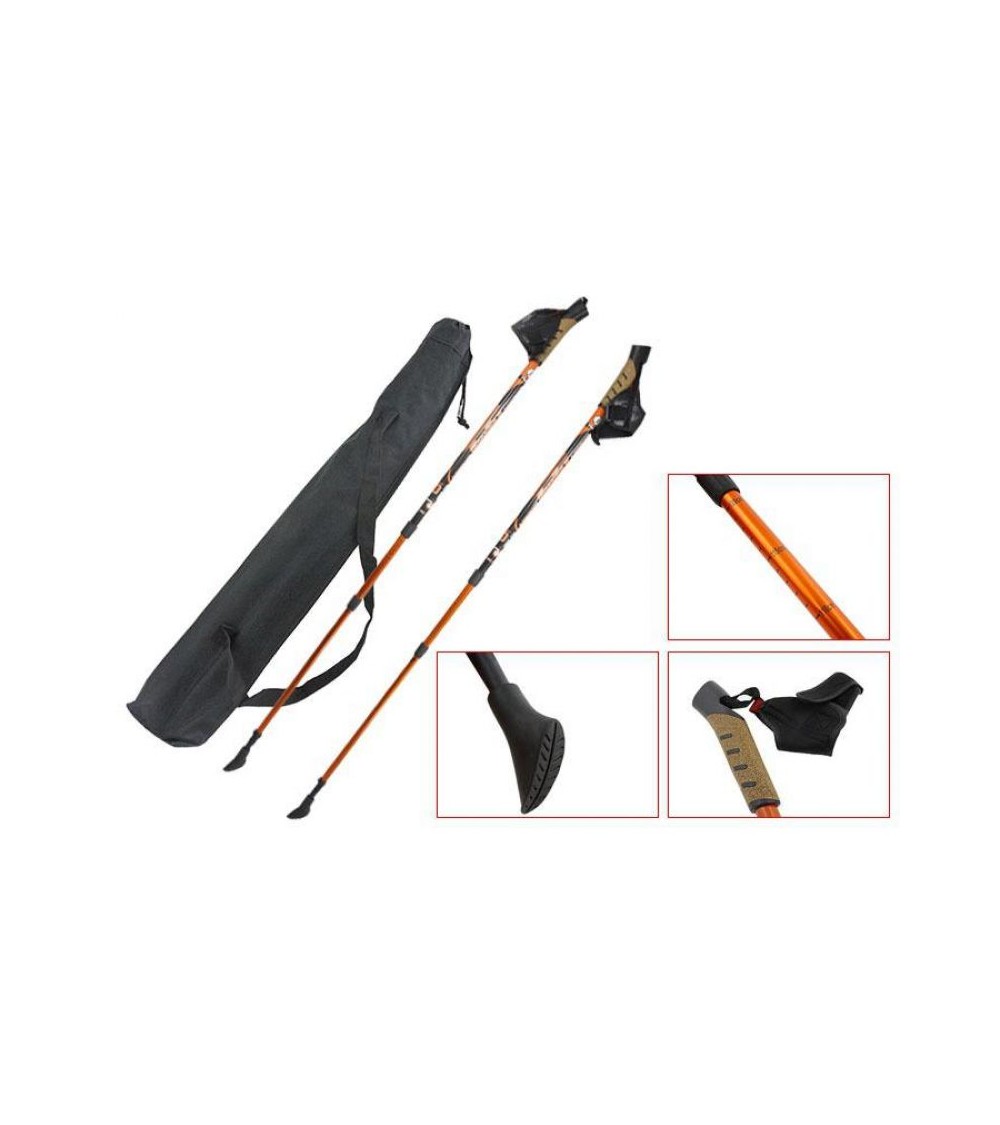 Trekking stick SM3-B12/C3
