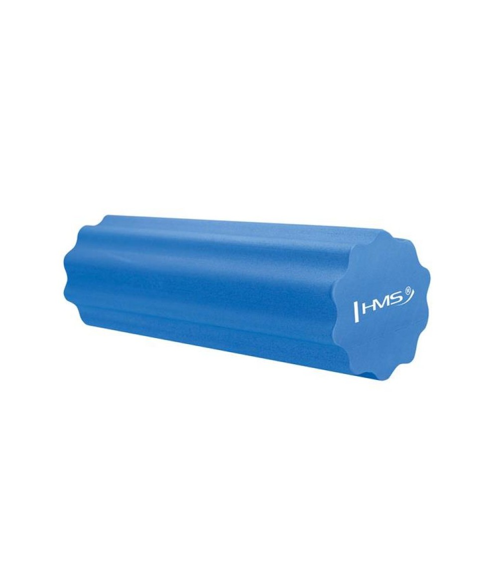 Fitness HMS NAVY / BLUE FS201 roller