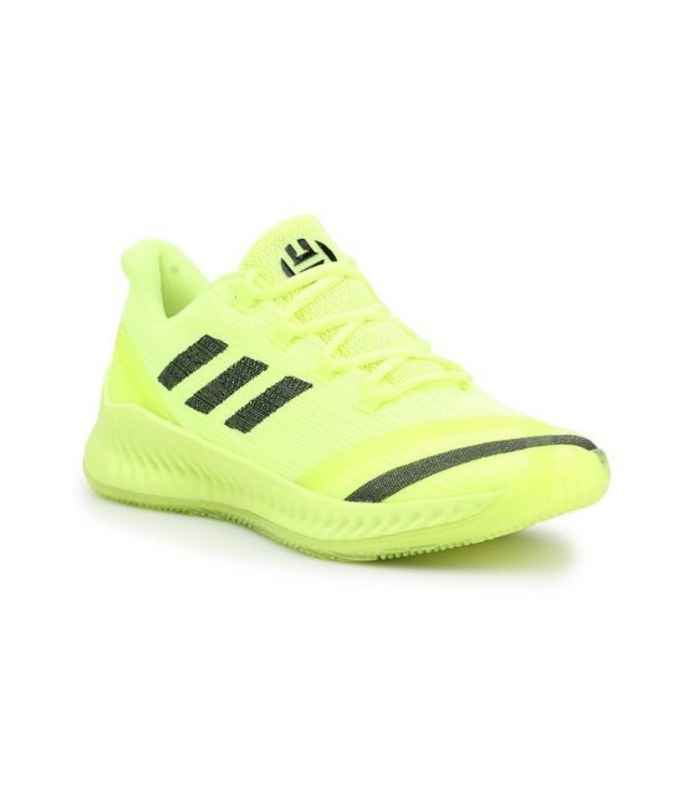 Shoes adidas Harden B / E Jr AQ0030, Krepšinio apranga vaikams, Krepšinio apranga, Adidas