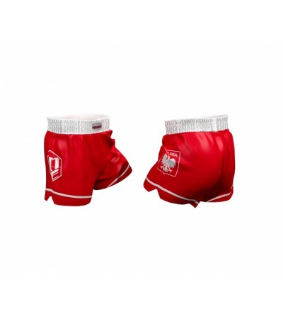 Masters SK-PL 060205-M training shorts